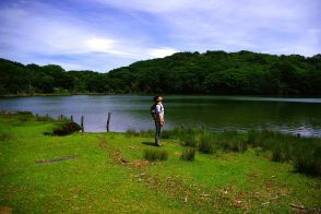 【初夏が抜群に気持ちがいい穴場】伊豆特有の森に包まれた通称 “天城の瞳”「八丁池ハイキングルート」って知ってる?