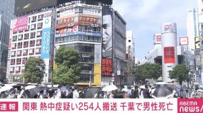 関東地方 熱中症疑いで254人が搬送 千葉で70代の男性死亡