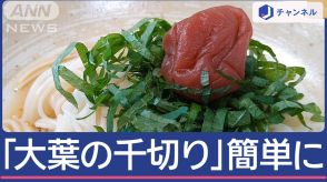 ひと手間＆口当たり良し　夏の料理に！　「大葉」の千切り簡単にできる方法