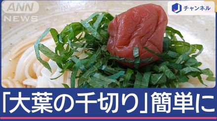 ひと手間＆口当たり良し　夏の料理に！　「大葉」の千切り簡単にできる方法