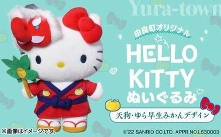 【すべて限定品】キティちゃんのぬいぐるみに囲まれたい！ふわふわ「ハローキティぬいぐるみ」の数量限定返礼品3選