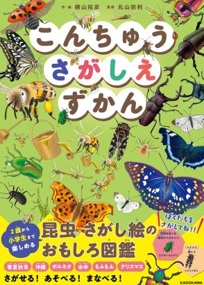 茨城在住のイラストレーターが図鑑「こんちゅうさがしえずかん」刊行