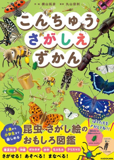 茨城在住のイラストレーターが図鑑「こんちゅうさがしえずかん」刊行