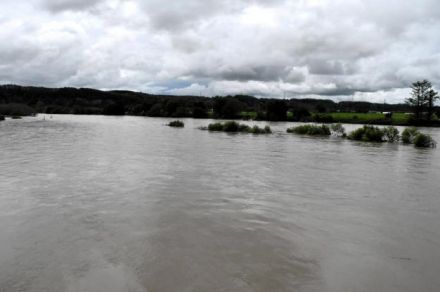 北海道北部で記録的な大雨 雨竜川が氾濫　「浸水した稲はダメだ」