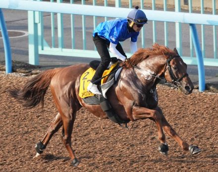 【アイビスSD】ウイングレイテスト　極上の切れ披露、松岡「思った通りの動き」