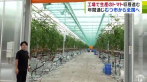 1年を通してトマトを全国に出荷!　「大規模トマト工場」青森県むつ市で稼働始まる　今年度は約1000トンを出荷予定