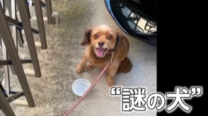 【独自】他人の飼い犬がなぜウチに?“謎の犬”ミステリー…“飼い主”倒れ緊急事態も約10時間待ち続け「まるで忠犬ハチ公」