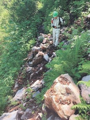 富山県立山町の八郎坂登山道が地震や大雨で崩壊　２４年度は通行止め