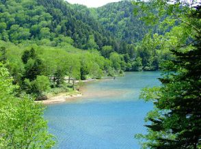 【長野県 2024年版】 夏の絶景・風物詩10選「大沼池」群青の湖面に浮かぶ赤い鳥居が印象的