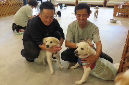 見た目そっくりの保護犬2頭、1年半ぶり再会　多頭飼育崩壊から救出