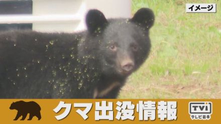 【クマ目撃情報】岩手県盛岡市桜台2丁目付近