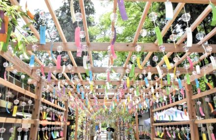 【動画あり】伊佐須美神社境内に風鈴２千個　〝涼〟の音色が参拝者癒やす　福島県会津美里町