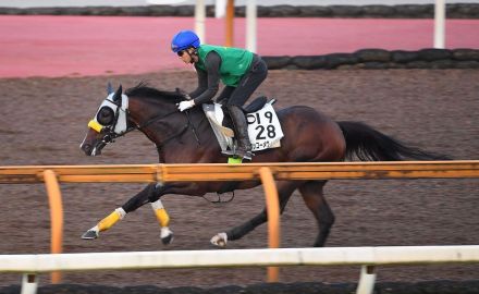 【新潟ジャンプＳ】ホッコーメヴィウスは小牧加矢太騎手背にＣＷコースで馬なりラスト１１秒９