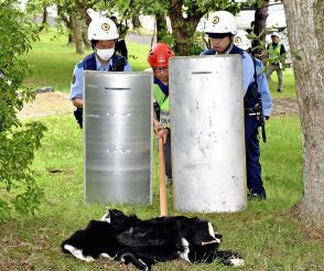 クマ住宅街出没に備え　福島県と喜多方市が対応訓練