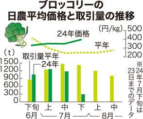 ブロッコリー品薄　7割高　前進反動、暑さで