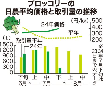 ブロッコリー品薄　7割高　前進反動、暑さで