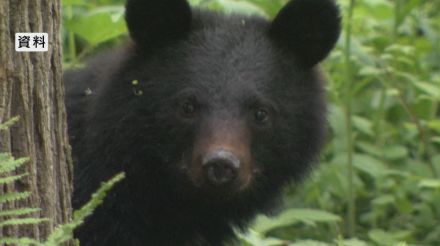 クマに公園近くで襲われる　散歩中の男性が顔をひっかかれ重傷　連日の被害…「出没注意報」発令中　