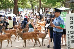 「奈良のシカ」蹴り上げ動画　ＳＮＳで拡散　警察も〝出動〟