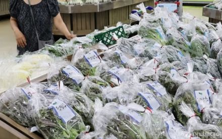 「サンチュを肉で包まねば？」…韓国・集中豪雨で野菜・果物値上がり