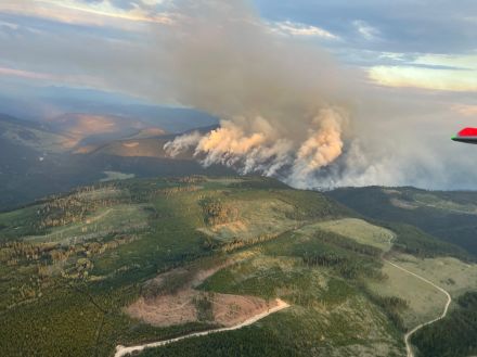 カナダ西部で山火事広がる、避難地域拡大　石油生産に影響懸念も