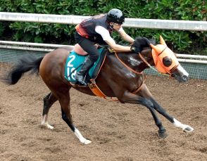 【ＰＯＧ】愛ダービー馬の半弟アルハイルフォートが２７日札幌でデビュー　陣営「乗り手の言うことをよく聞く」