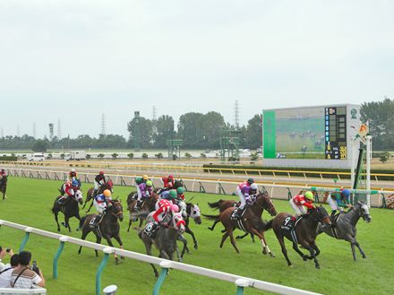 【アイビスSD出走馬・騎手確定】チェイスザドリーム&坂井瑠星騎手、ウイングレイテスト&松岡正海騎手など18頭