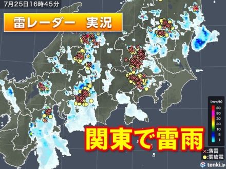 関東で雷雨　帰宅時間帯に天気急変の恐れ