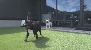 「愛犬と泊まれる宿」が金刀比羅宮の門前町にオープン　新型コロナの教訓生かし多様性のある宿に　香川・琴平町