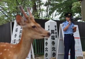 「神の使い」に暴行許さぬ　奈良のシカ蹴る動画拡散で県警パトロール