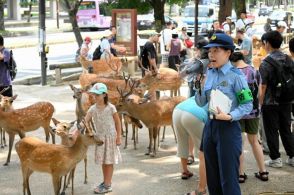 奈良公園の鹿「傷つければ罰せられることも」警察や愛護団体呼びかけ