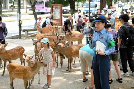 奈良公園の鹿「傷つければ罰せられることも」警察や愛護団体呼びかけ