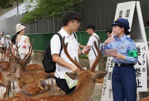 「奈良のシカ」過去にはおのでたたかれ死亡例も　年々増える外国人観光客とのトラブル