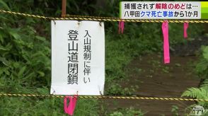 「やばいクマなんですよ…」青森八甲田・クマによる女性死亡事案から1か月　未だに捕獲されない現状　入山規制は解除の目途立たず…　事業者などに不安広がる