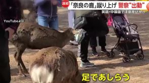 【波紋】「奈良公園の鹿」への相次ぐ暴力に“マルチリンガルDJポリス”登場　子連れ男性が鹿の顔面蹴る新たな問題動画も…