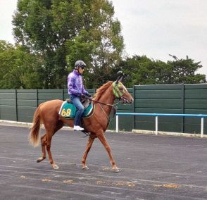 【札幌新馬戦】ロパシック　初陣V自信あり　大竹師「力を出せる仕上がり」