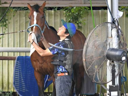 【今週の注目新馬】「つける注文はない」馬場を味方にサムシャインが父ルヴァンスレーヴへ産駒中央初Ｖ届ける！