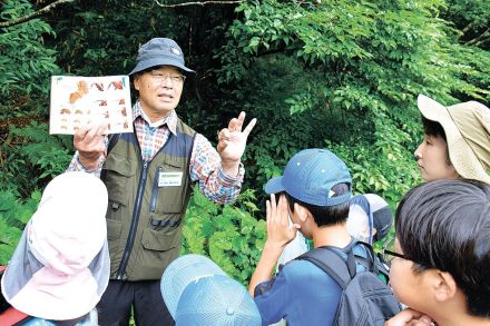 チョウ激減　猛暑が原因？　観察続ける有識者指摘　長野県中信地域