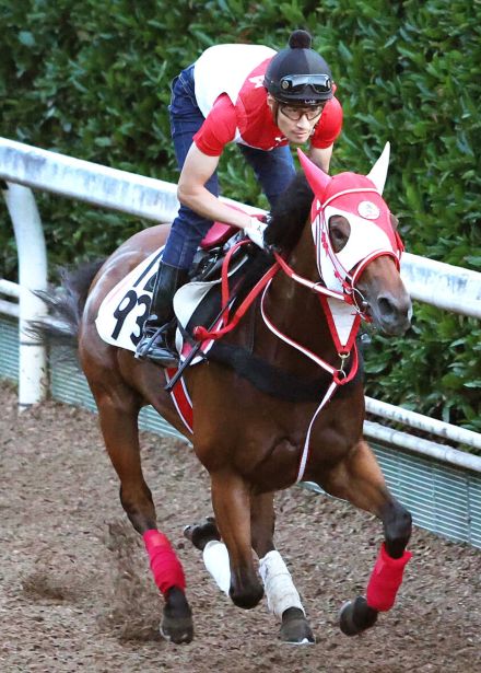 【アイビスＳＤ】前走初の千直快勝のチェイスザドリームは７枠１３番　“千直女王”藤田菜七子騎手騎乗のマウンテンムスメは３枠５番　枠順決定