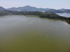 福井県の三方湖に水草「ヒシ」2年連続発生せず　舟運行は快適だけど…専門家「生物多様性への影響懸念」