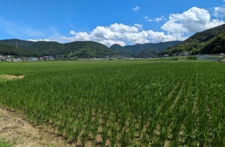 ３０ヘクタールの工業団地　交通アクセス良、水量も豊富　長崎・東彼杵で開発計画