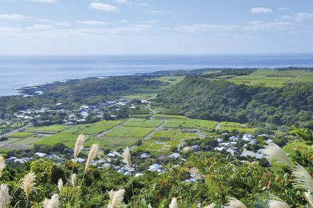 サンゴ礁研究など推進　鹿県の奄振計画・喜界島