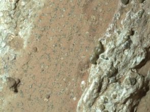 火星で生命の痕跡、数十億年前に微生物が生息していた可能性「大きな驚きだ」