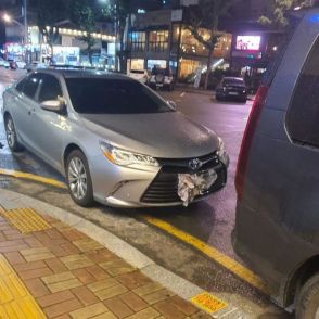 なぜ？新聞紙ナンバープレートに貼った車…韓国・結局、摘発される