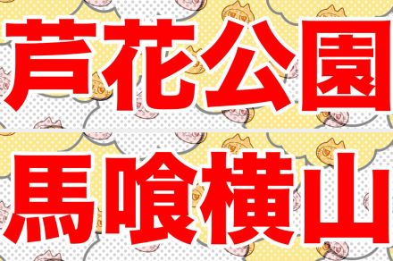 【読めたら天才】激ムズ！東京都内の難読駅10選「芦花公園」「馬喰横山」ほか