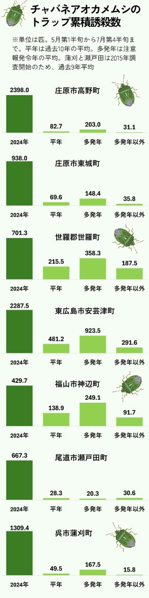 広島県、カメムシ大量発生で初の警報　庄原市の捕殺数は平年の29倍に