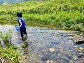 「本気で子どもを守りたい！」が詰まった『子ども版 これで死ぬ』は夏休み前に親子で必読したい1冊