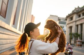 生活困窮者のペット飼育問題、社会としてどう向き合うべきか？