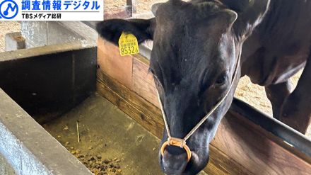 「牛のげっぷ」抑制で温室効果ガス削減目指す＜シリーズSDGsの実践者たち＞【調査情報デジタル】