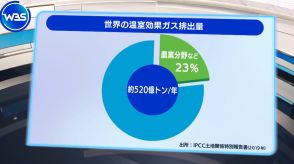 農業の“脱”温暖化　化学肥料を技術で減らせ!【WBSクロス】