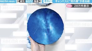 「天才か…！？」丸いキャンバスに描かれた、流れ星が走る幻想的な絵画に「涼やかな満天の星空をありがとう」「ずっと見ていたい」と絶賛の嵐